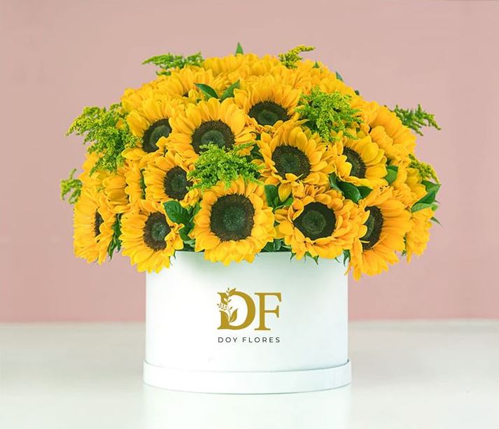 Floristeria doy flores en Medellin