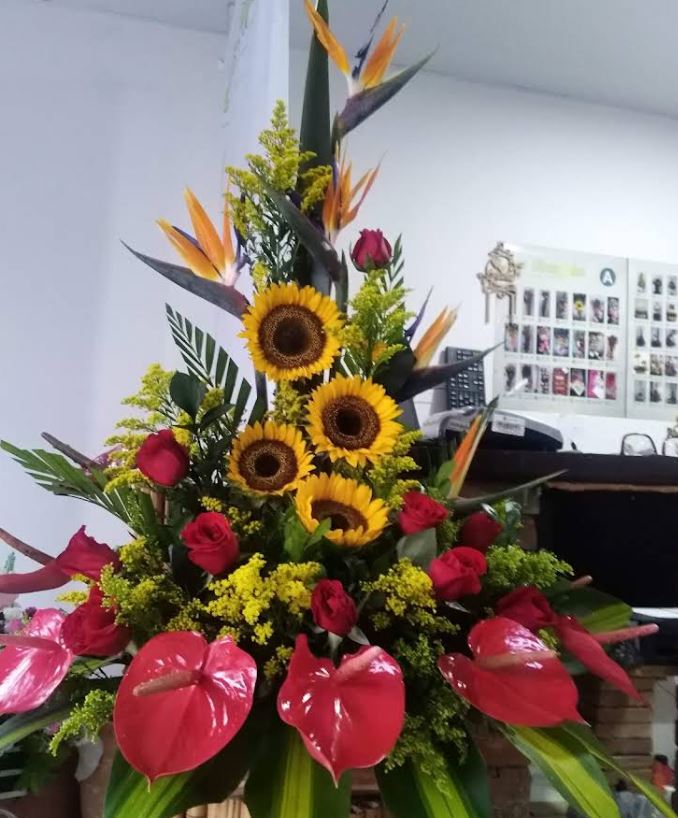 FLORISTERIA LOS GIRASOLES 1
