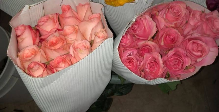 FLORISTERIA LOS GIRASOLES 1