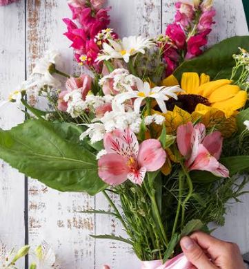 FLORISTERIA LOS GIRASOLES 4