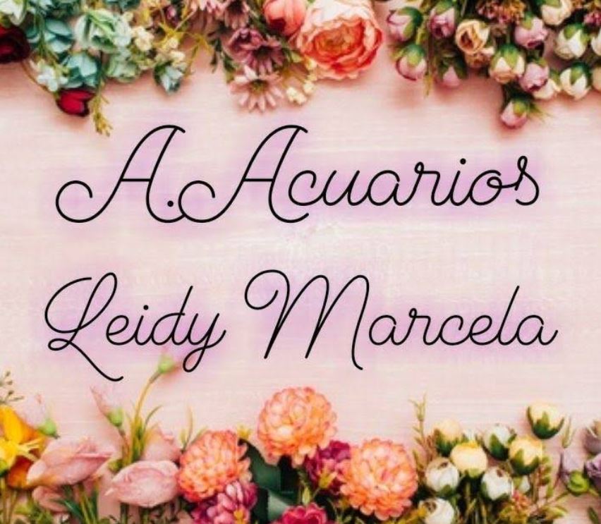 Floristeria A.Acuarios Leidy Marcela