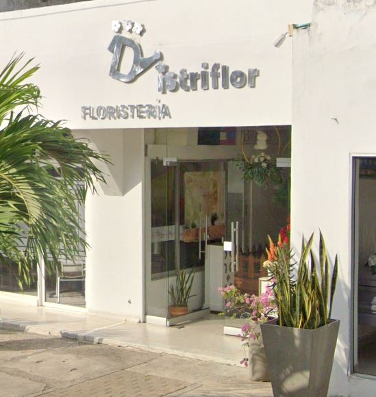 Floristería Distriflor Plus