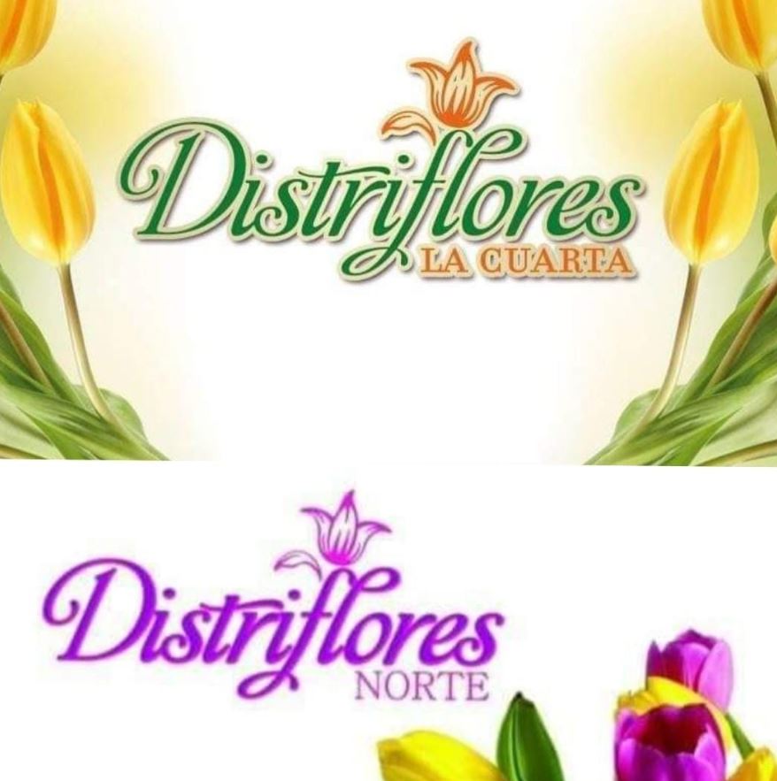 Floristería Distriflores la cuarta