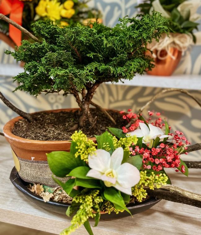 Floristería El Clavel Rojo 3