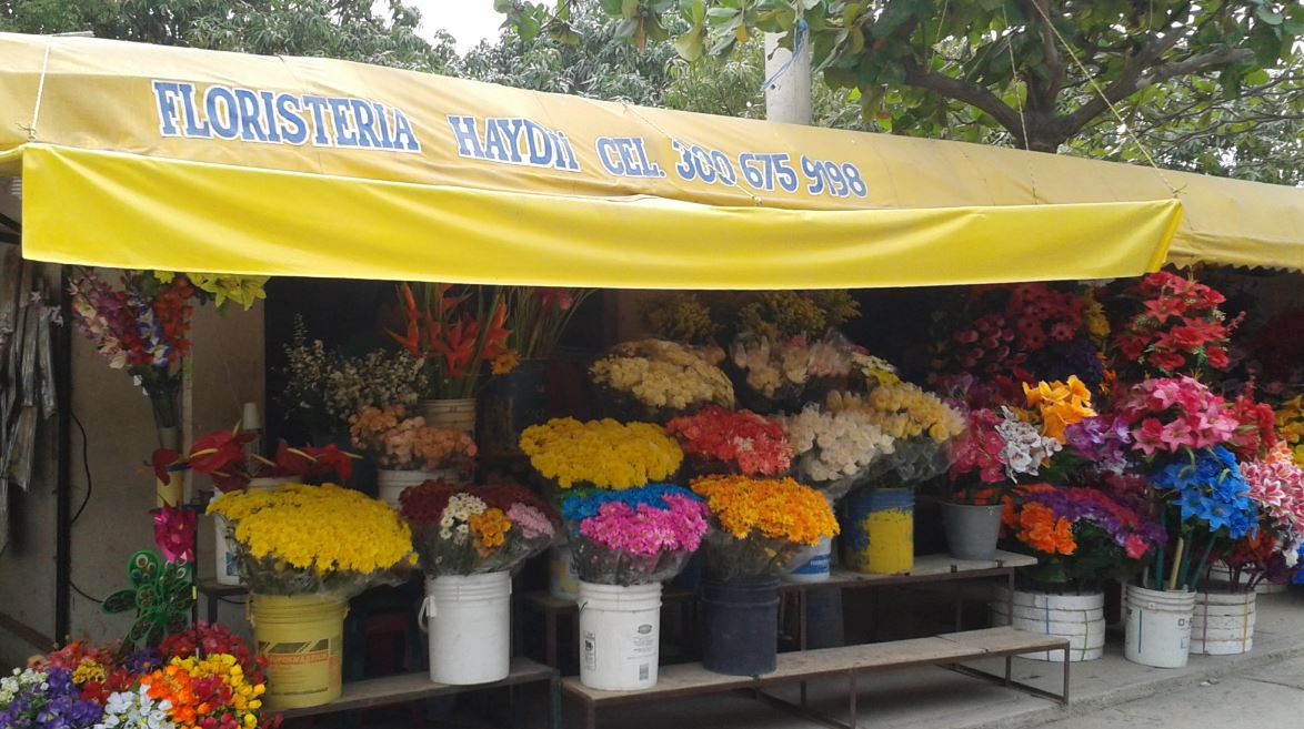Floristería Haydii