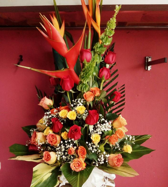 Floristeria IBIZA Rionegro 1