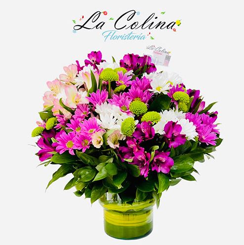 Floristería La Colina 2
