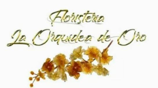 Floristería La Orquídea De Oro