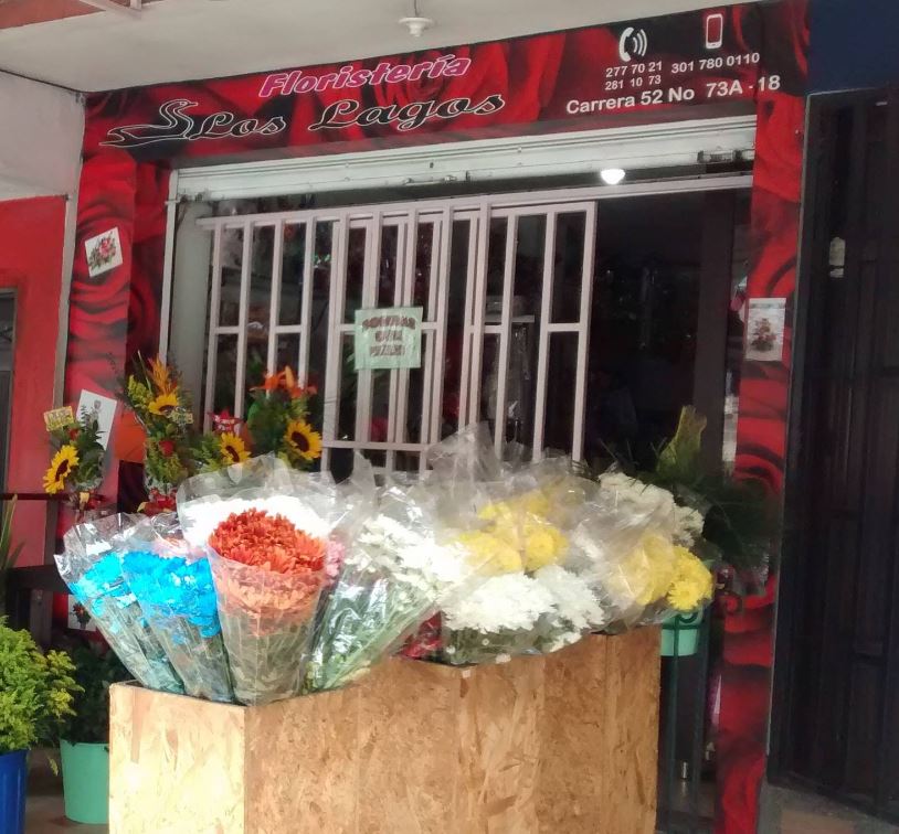 Floristería Los Lagos