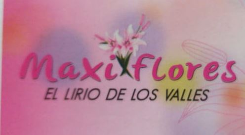 Floristeria Maxi Flores Popayán