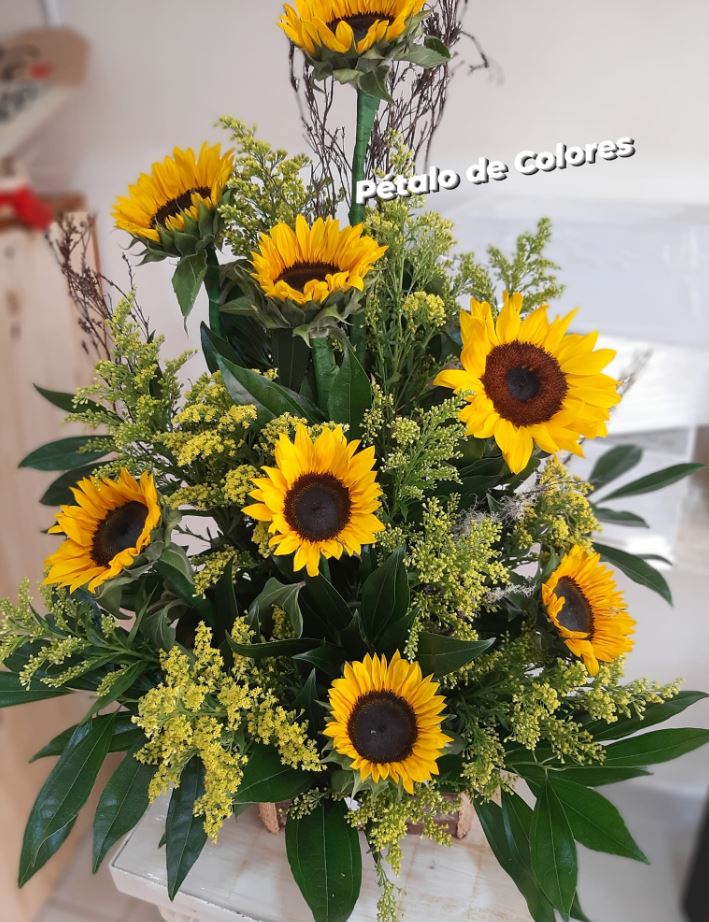 Floristería Pétalo de Colores 2