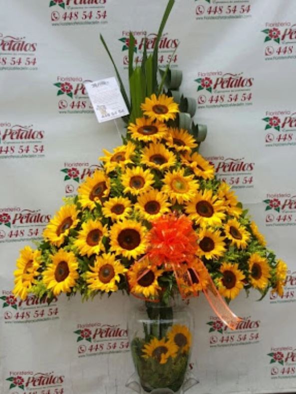 Floristería Pétalos 4