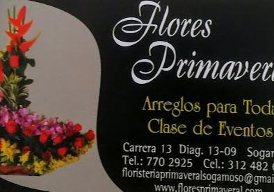 Floristeria Primaveral