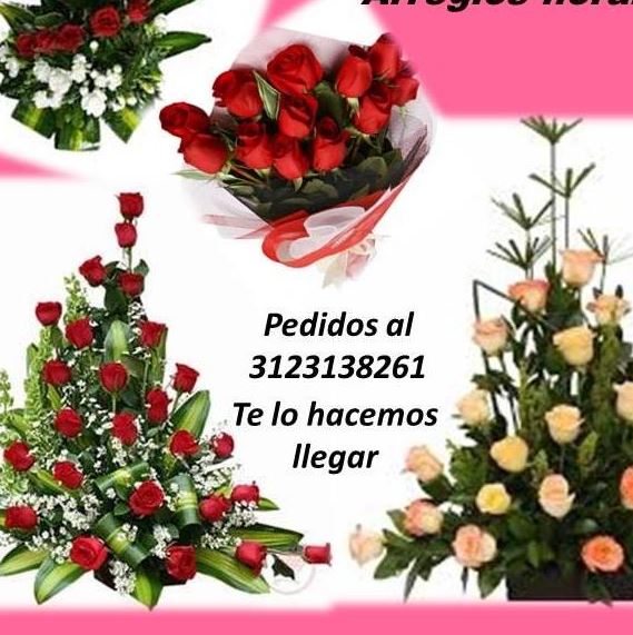 Floristeria Rosa De Saron