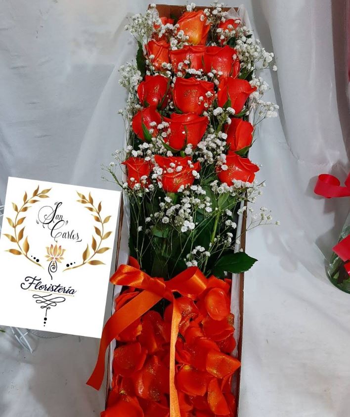 Floristería San Carlos Zipaquirá