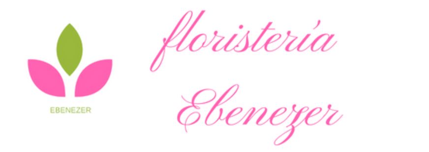 Floristería en Cali Ebenezer
