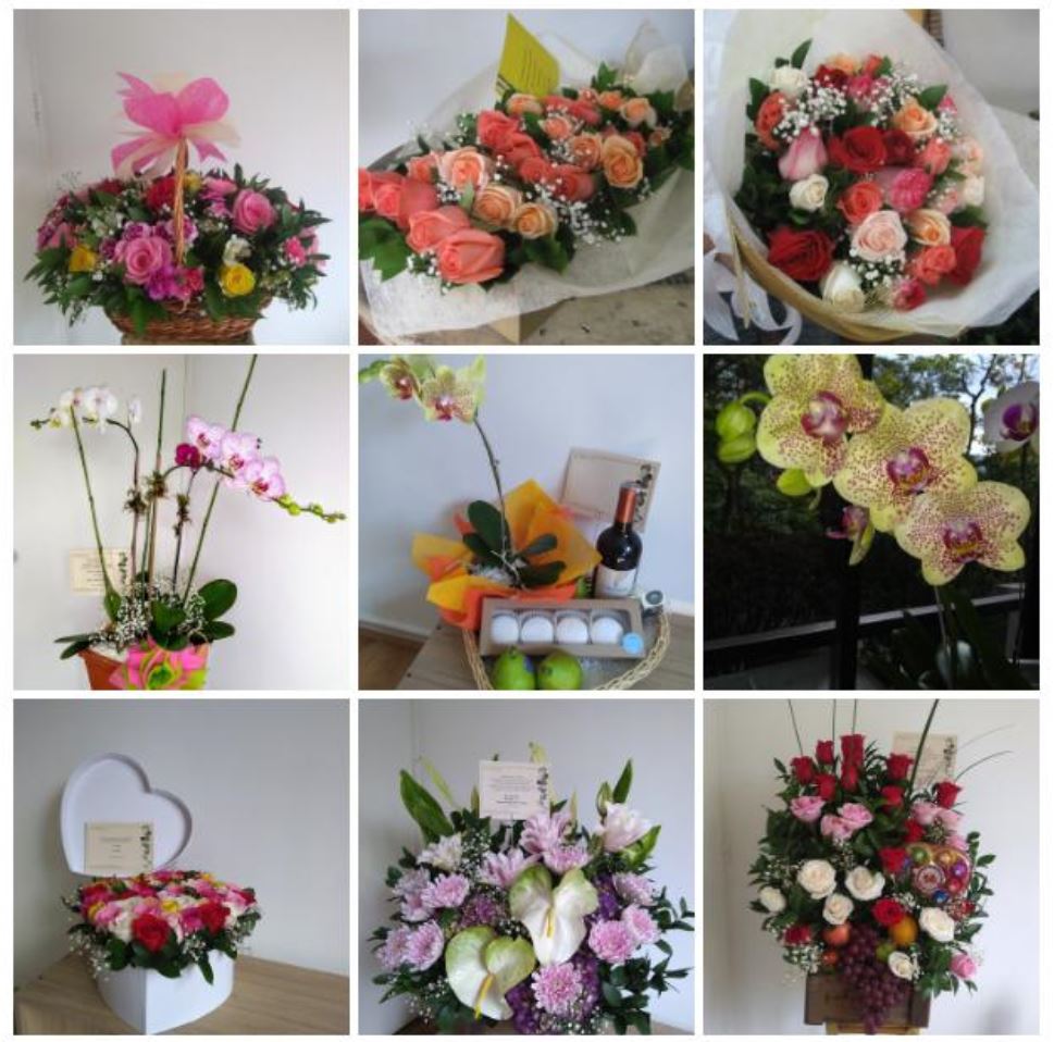 Floristería y Detalles San Marcos