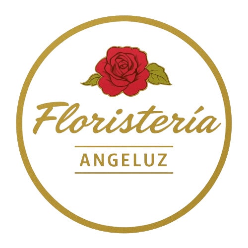 floristeria en cali angeluz