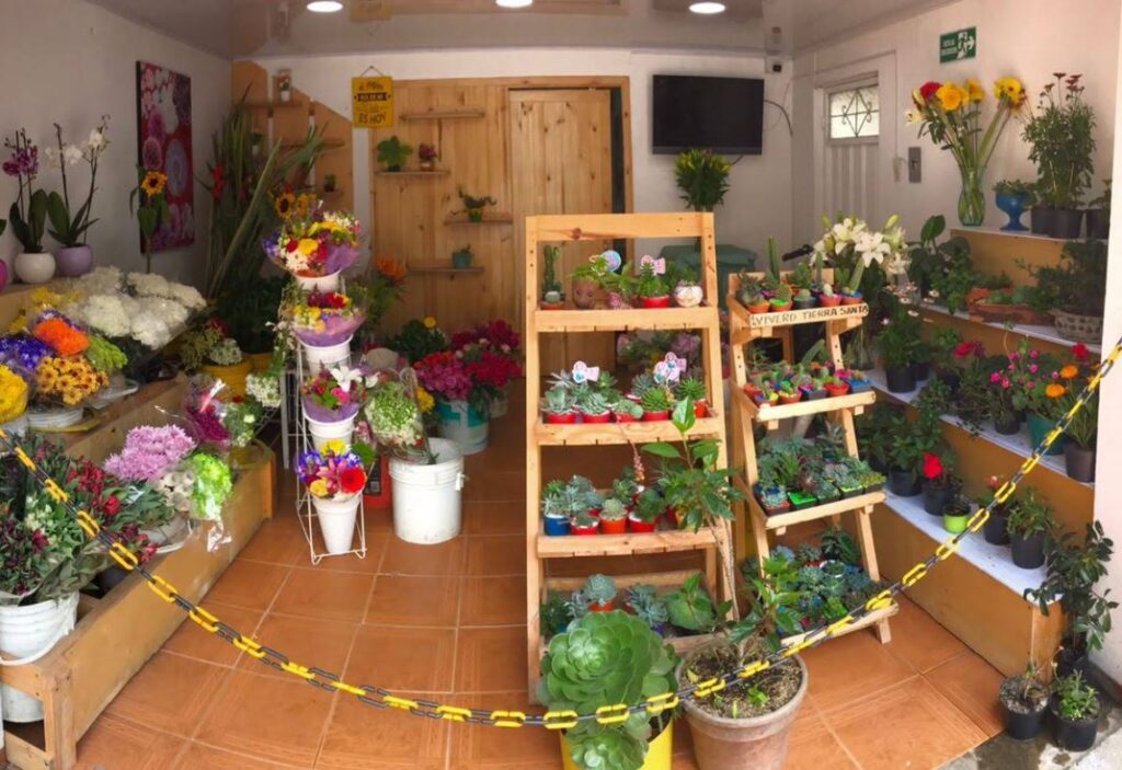 Flores y Jardines Campanella 1