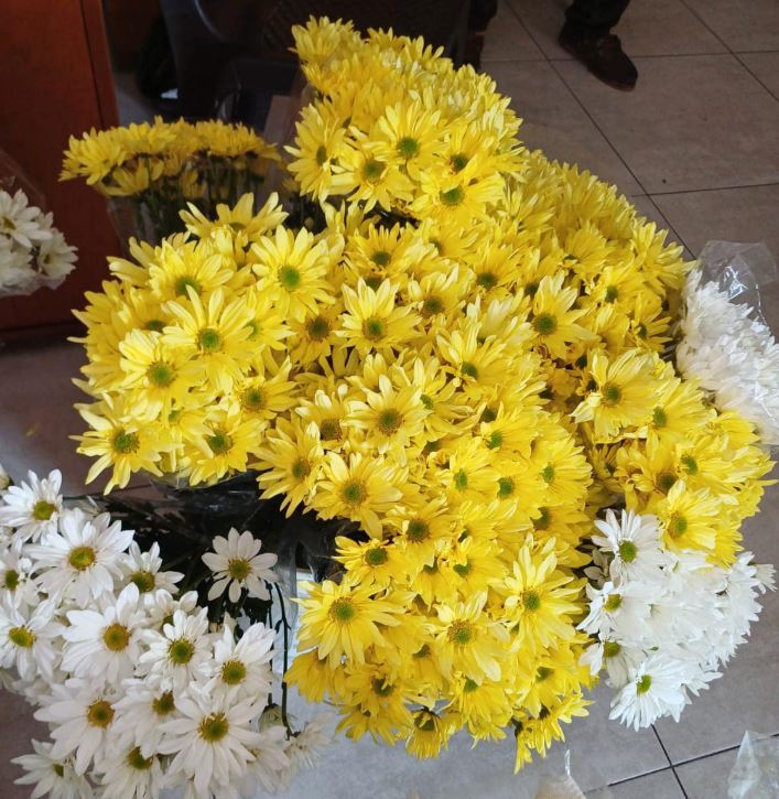 Floristería Santa Teresita 4