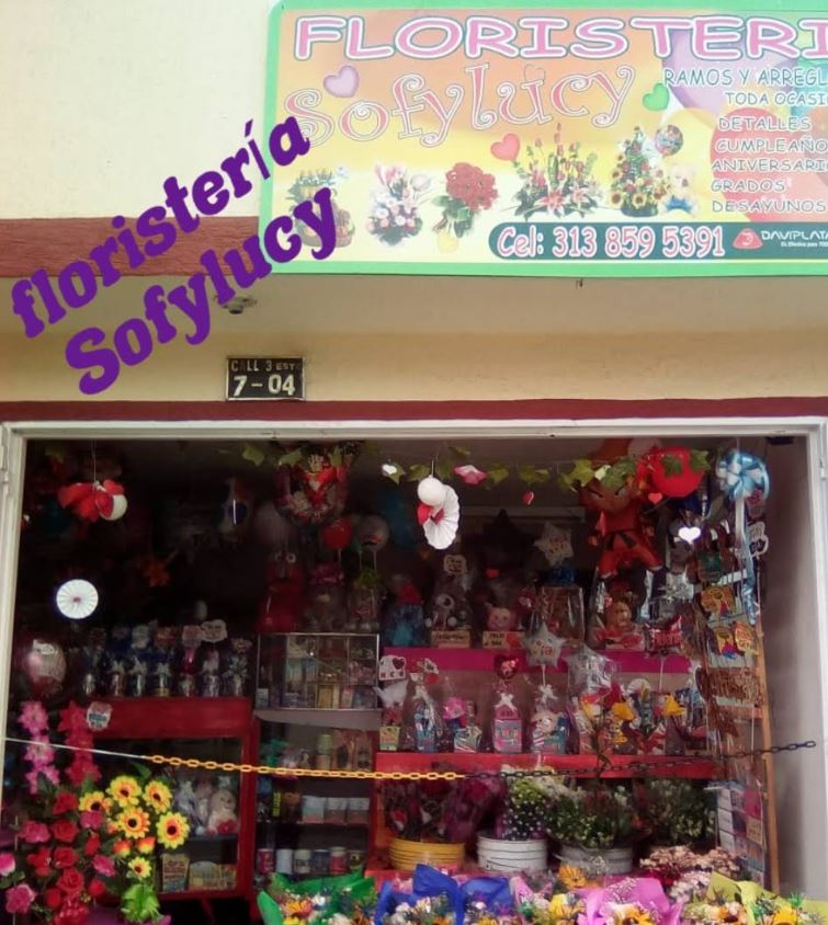 Floristería Sofylucy