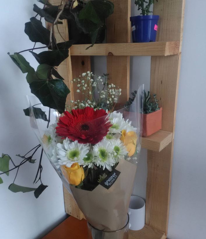 Floristeria letournasol