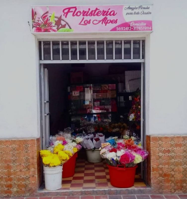 Floristería los Alpes Ocaña