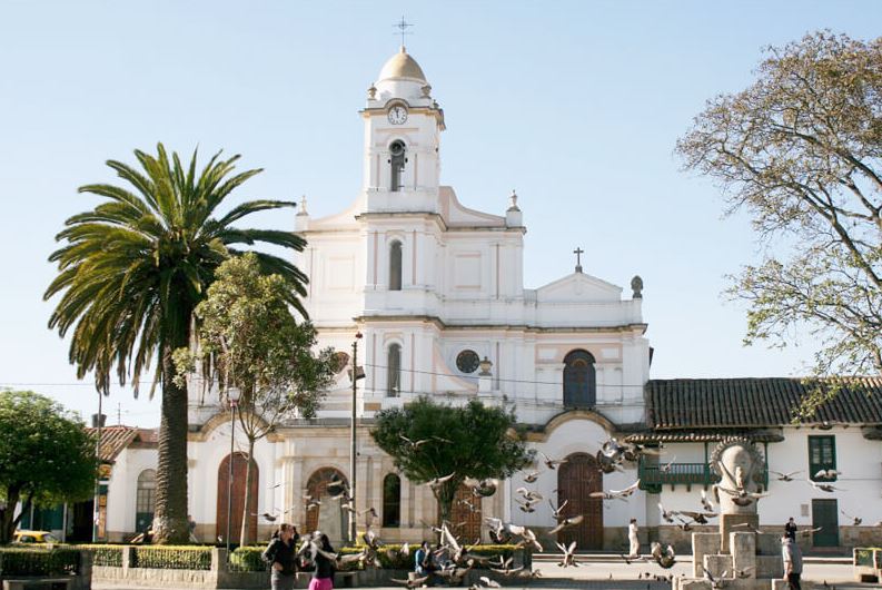Las mejores floristerías en Funza con envío a domicilio económicas y abiertas 24 horas