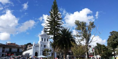 Las mejores floristerías en Marinilla con envío a domicilio económicas y abiertas 24 horas