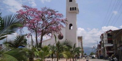 Las mejores floristerías en Pitalito con envío a domicilio económicas y abiertas 24 horas